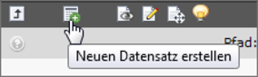 Neuen Datensatz erstellen
